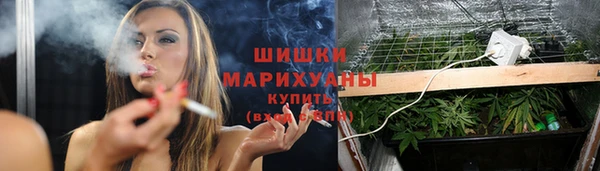 твердый Абаза