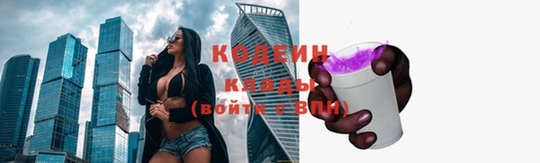 твердый Абаза