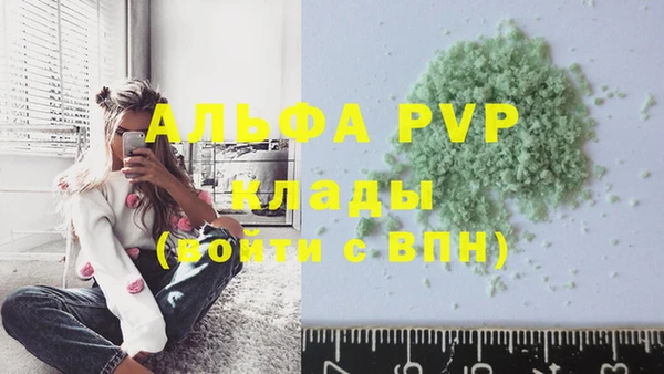 скорость Ладушкин